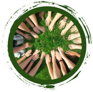 A circle of hands reaching in to the centre on a patch of grass